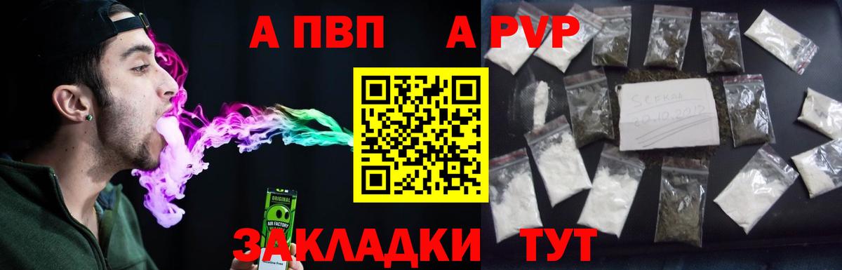 A PVP СК КРИС Новоалтайск