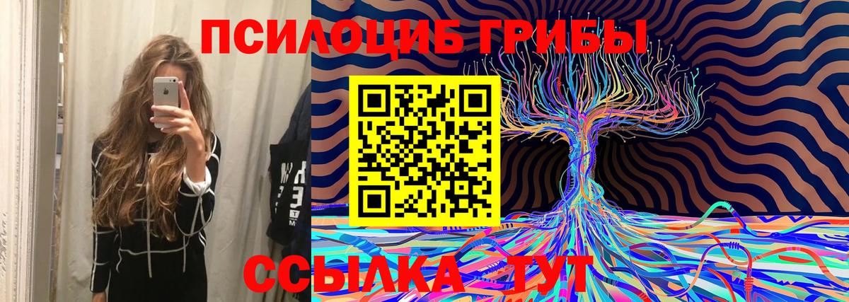 Галлюциногенные грибы Cubensis  закладка  Новоалтайск  Вход с VPN 